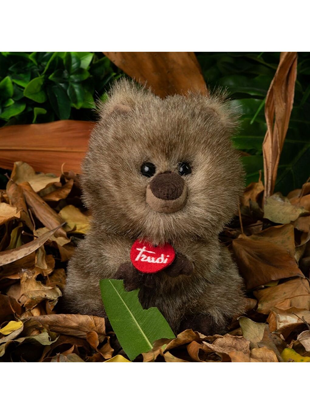 Quokka Maximilian 27135-3