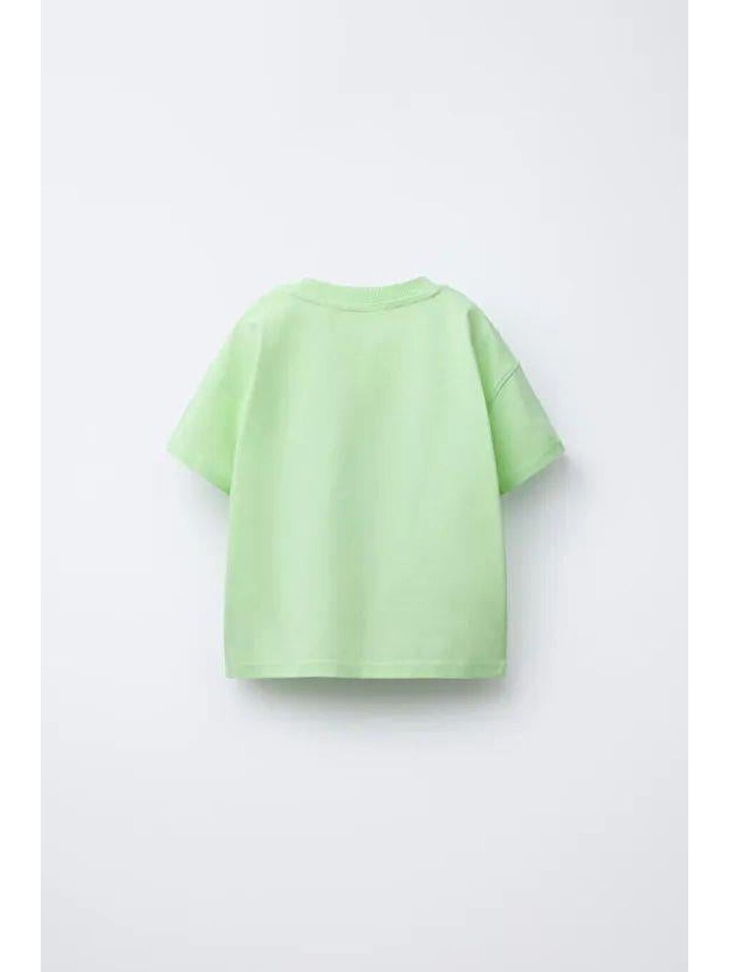 Erkek Çocuk Pamuklu Yeşil Timsah Baskılı T-Shirt Ve Çizgili Eşofman Takım-4