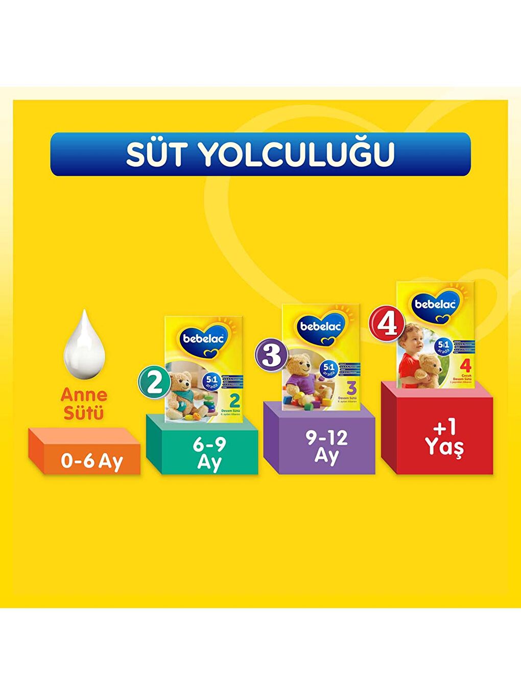 3 Devam Sütü 9-12 Ay 800 Gr-3