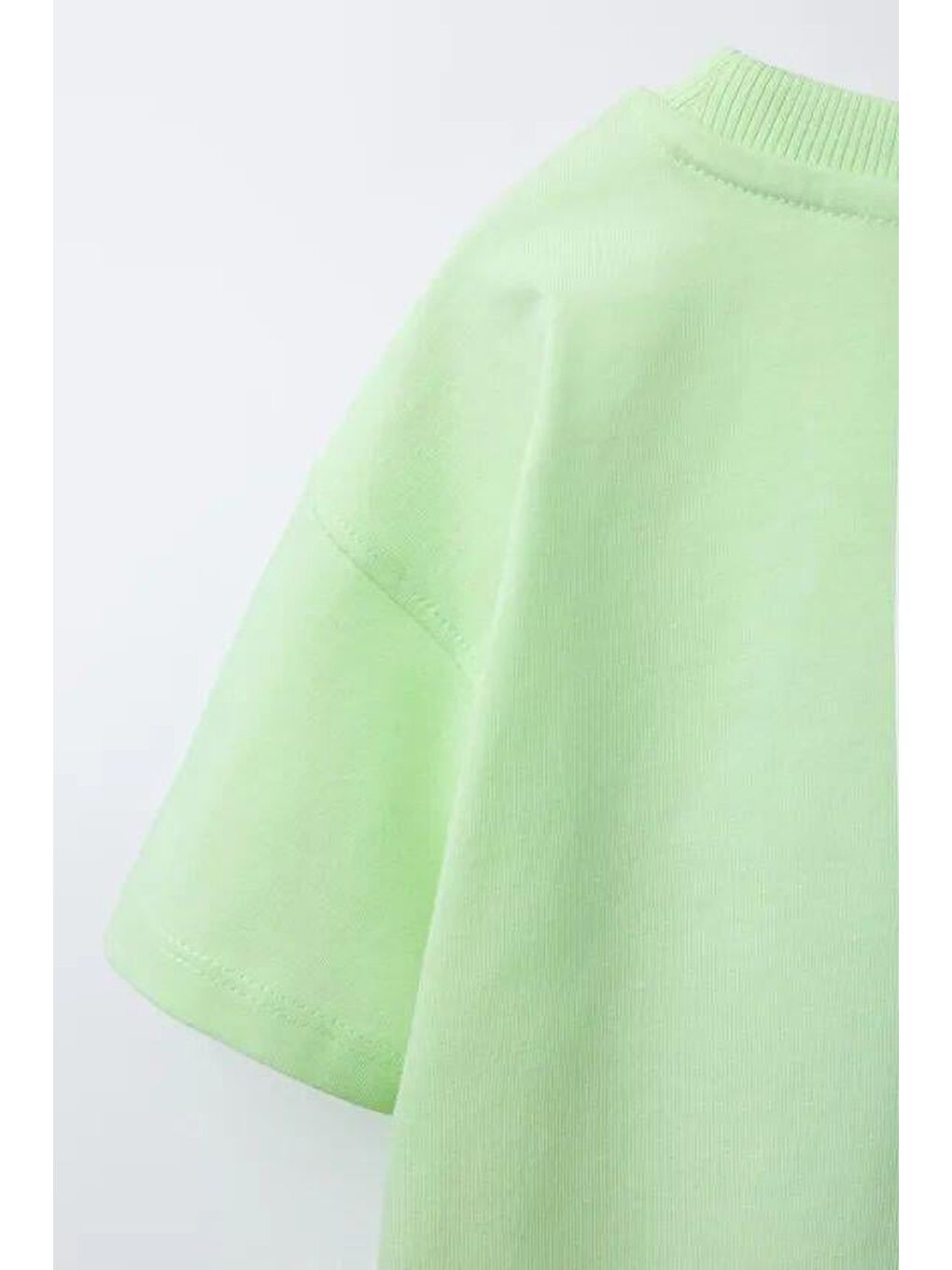 Erkek Çocuk Pamuklu Yeşil Timsah Baskılı T-Shirt Ve Çizgili Eşofman Takım-6