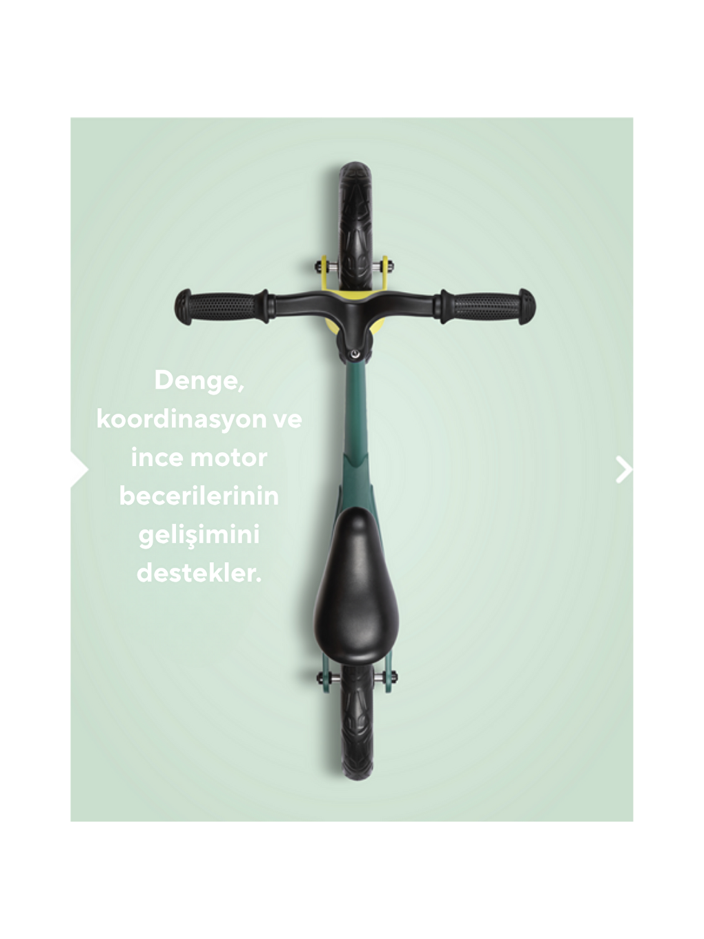 Denge Bisikleti Peacock Green-1