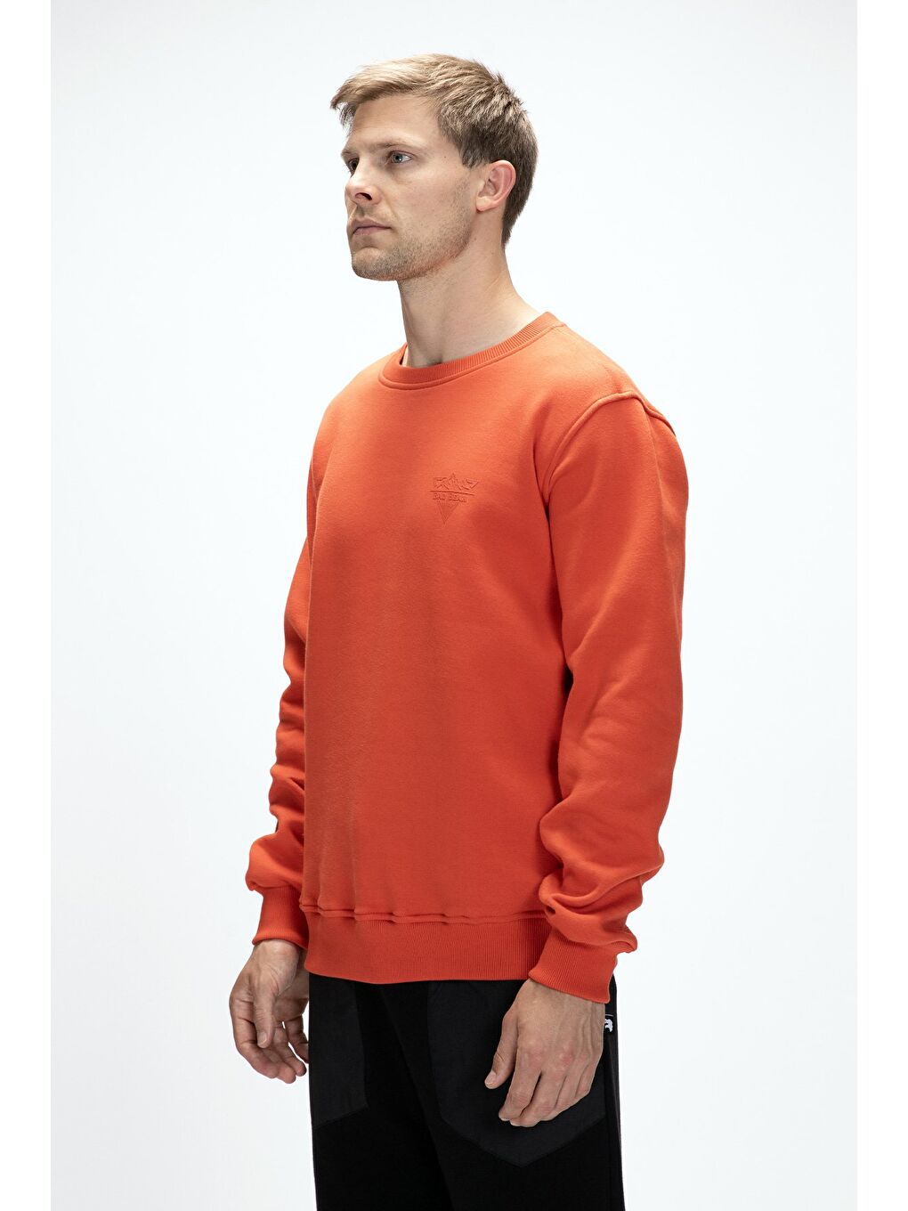 Kahverengi Windy Tarçın Crewneck Erkek Baskılı Sweatshirt-1