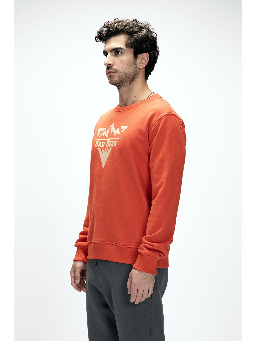 Kahverengi Mountain Tarçın Crewneck Erkek Baskılı Sweatshirt-1