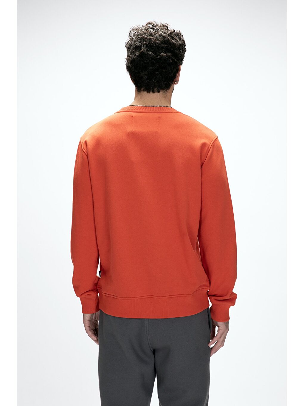 Kahverengi Mountain Tarçın Crewneck Erkek Baskılı Sweatshirt-2