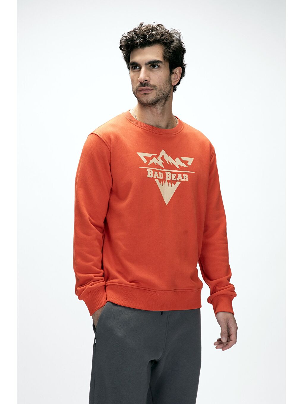 Kahverengi Mountain Tarçın Crewneck Erkek Baskılı Sweatshirt-3