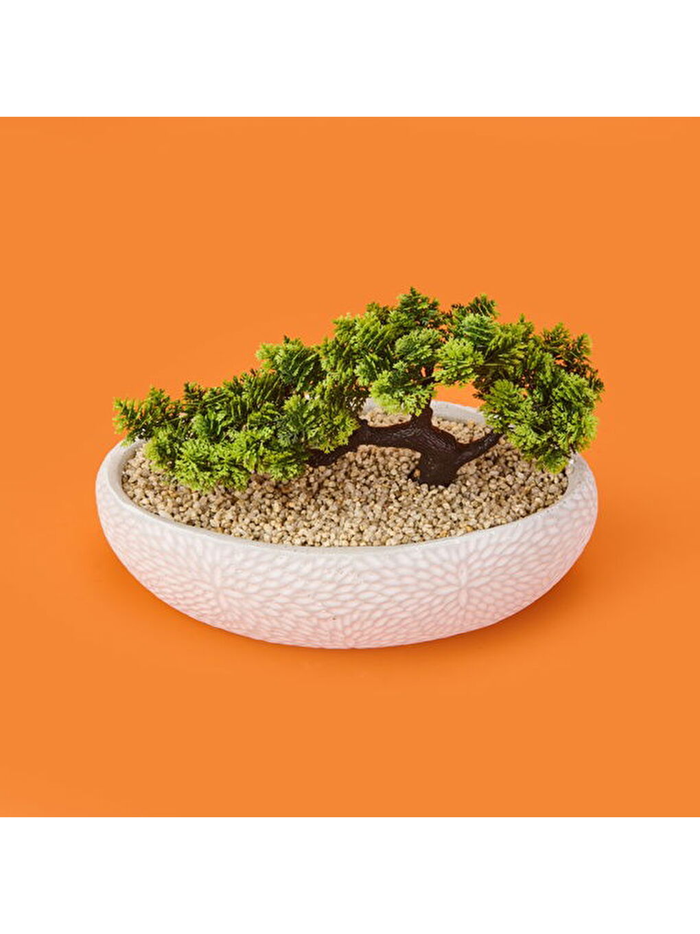 Karışık Desenli Elips Saksıda Bonsai - Renkli - 24x33 cm-1