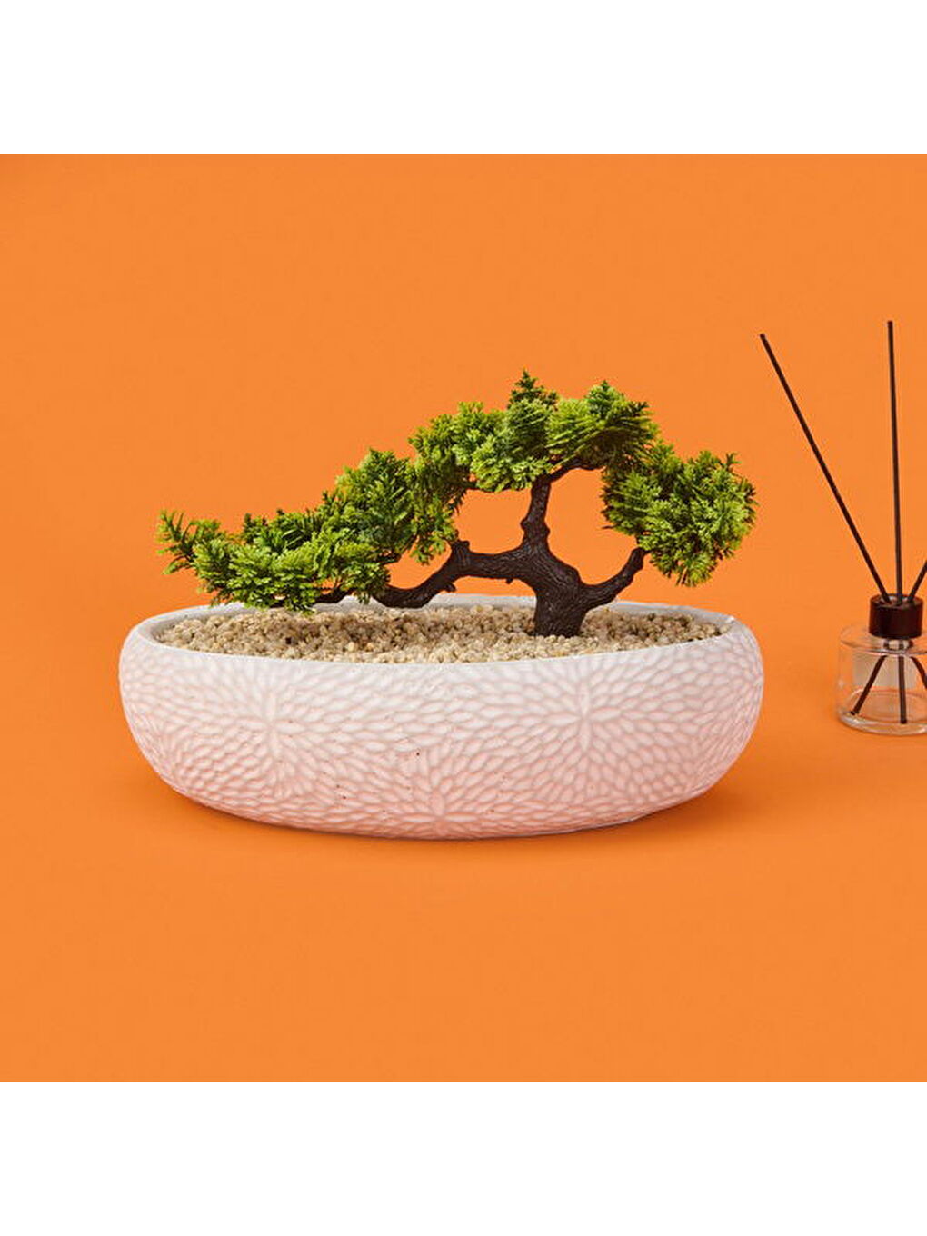 Karışık Desenli Elips Saksıda Bonsai - Renkli - 24x33 cm-2