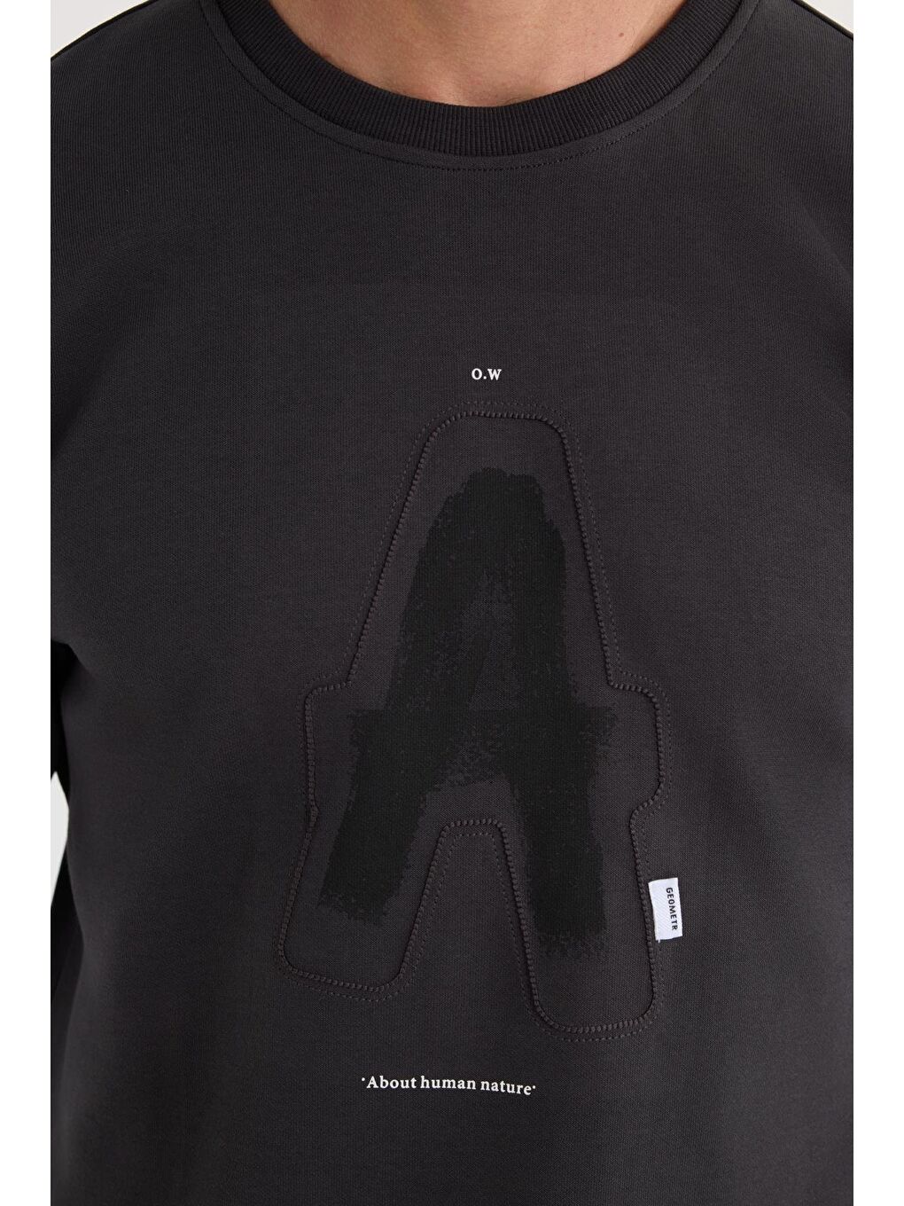 Unisex Relax Fit Pamuklu Yumuşak Dokulu Bisiklet Yaka İçİ Polarlı Baskılı Antrasit Sweatshirt​​​​​​​-2