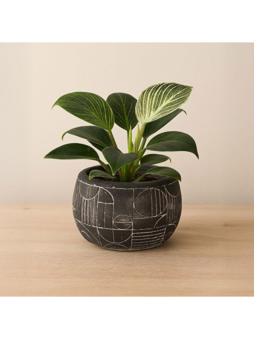 Boho Desenli Beton Saksı - Siyah - 14x12,5 cm