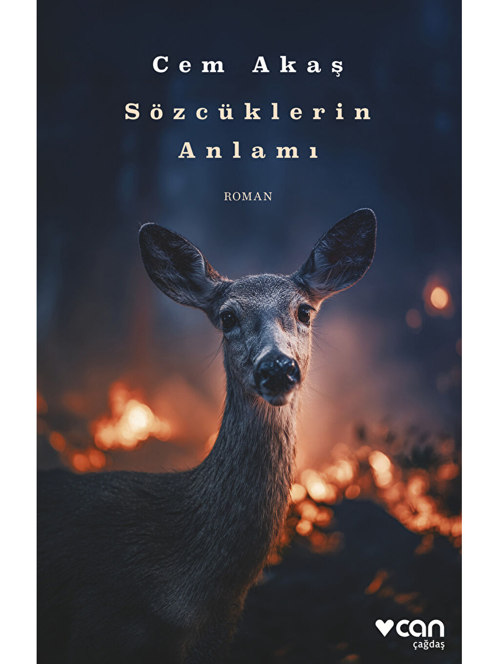 Sözcüklerin Anlamı