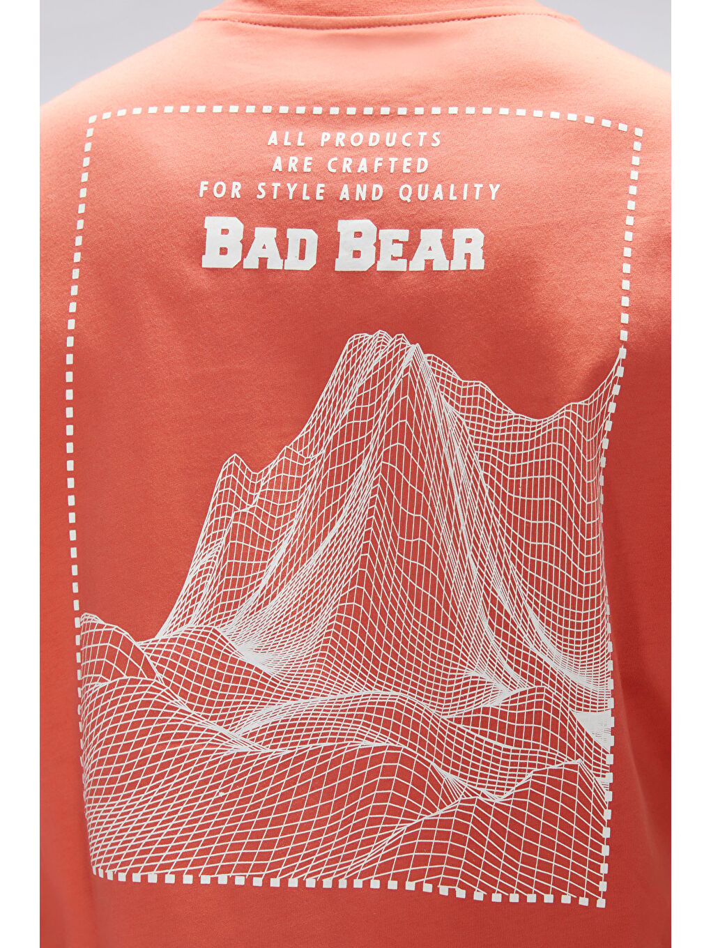 Kahverengi Eddy Tarçın Erkek Baskılı %100 Pamuk Tişört-5