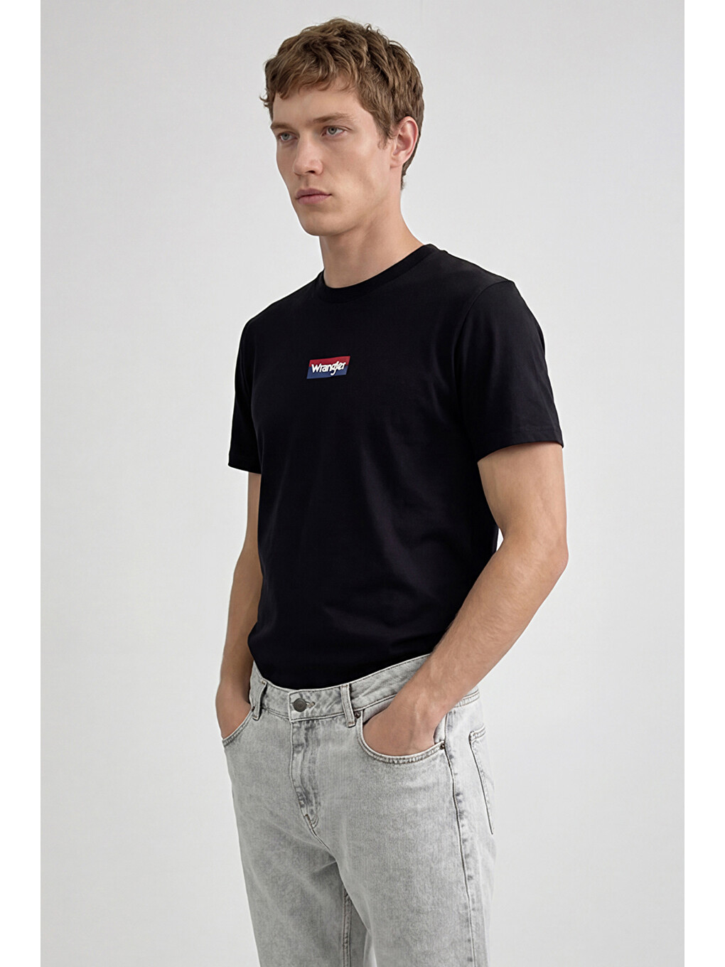Siyah %100 Pamuk Regular Fit Normal Kesim Bisiklet Yaka Logo Detaylı Tişört-2