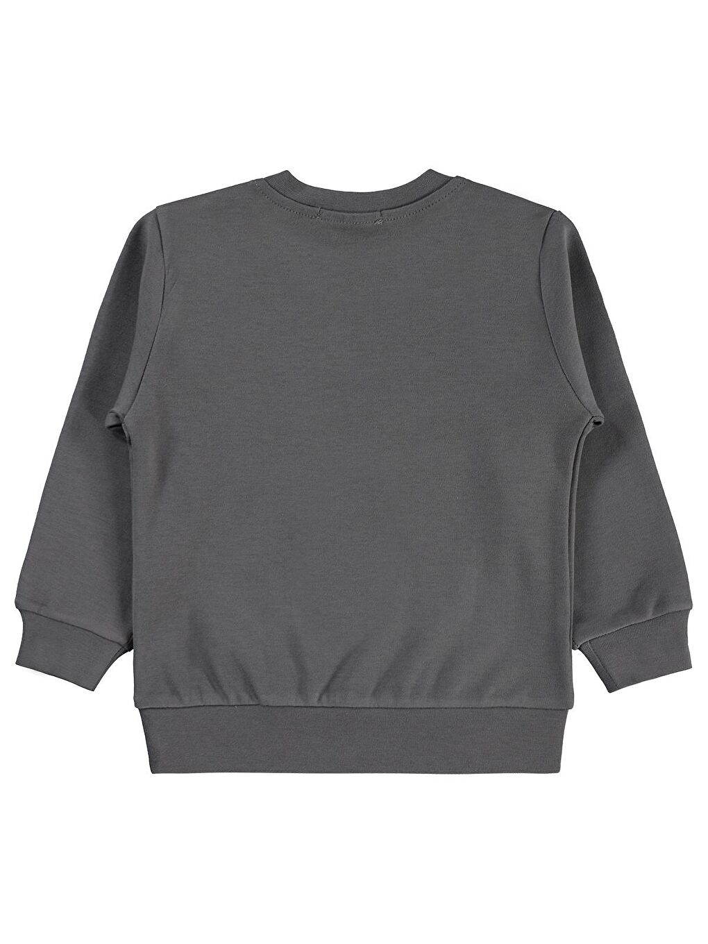 Boys Trex Club Baskılı 2-5 Yaş Sweatshirt Km - Gri 3-4 Yaş-1