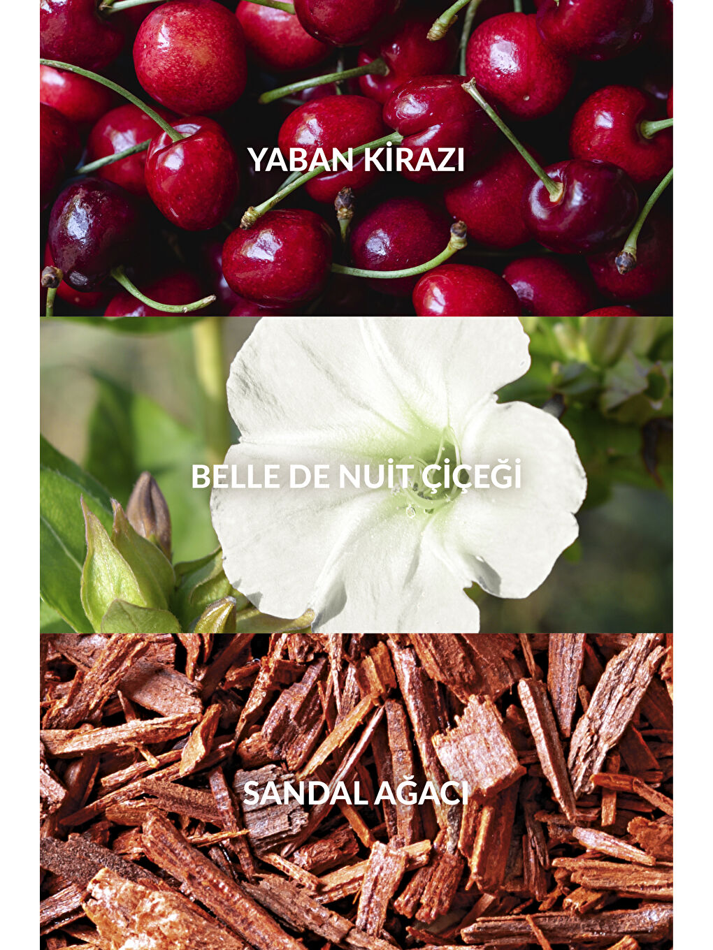 Far Away Beyond The Moon Kadın Parfüm Edp 30 Ml.-3