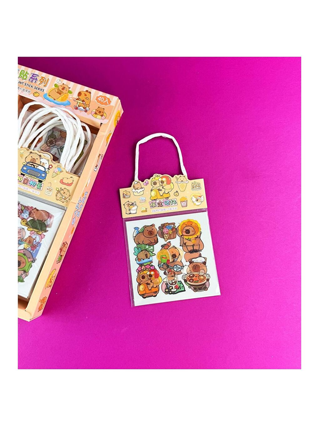 BAM HEDİYELİK EŞYA 4 lü Sevimli Capybara Sticker - 2