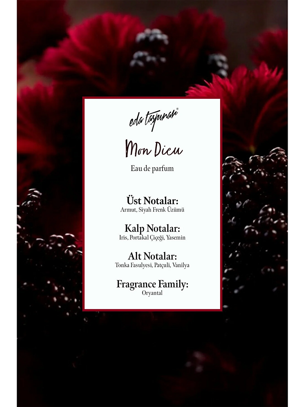 Mon Dieu Parfum EDP - Oryantal  100 ml (EGY0053)-2