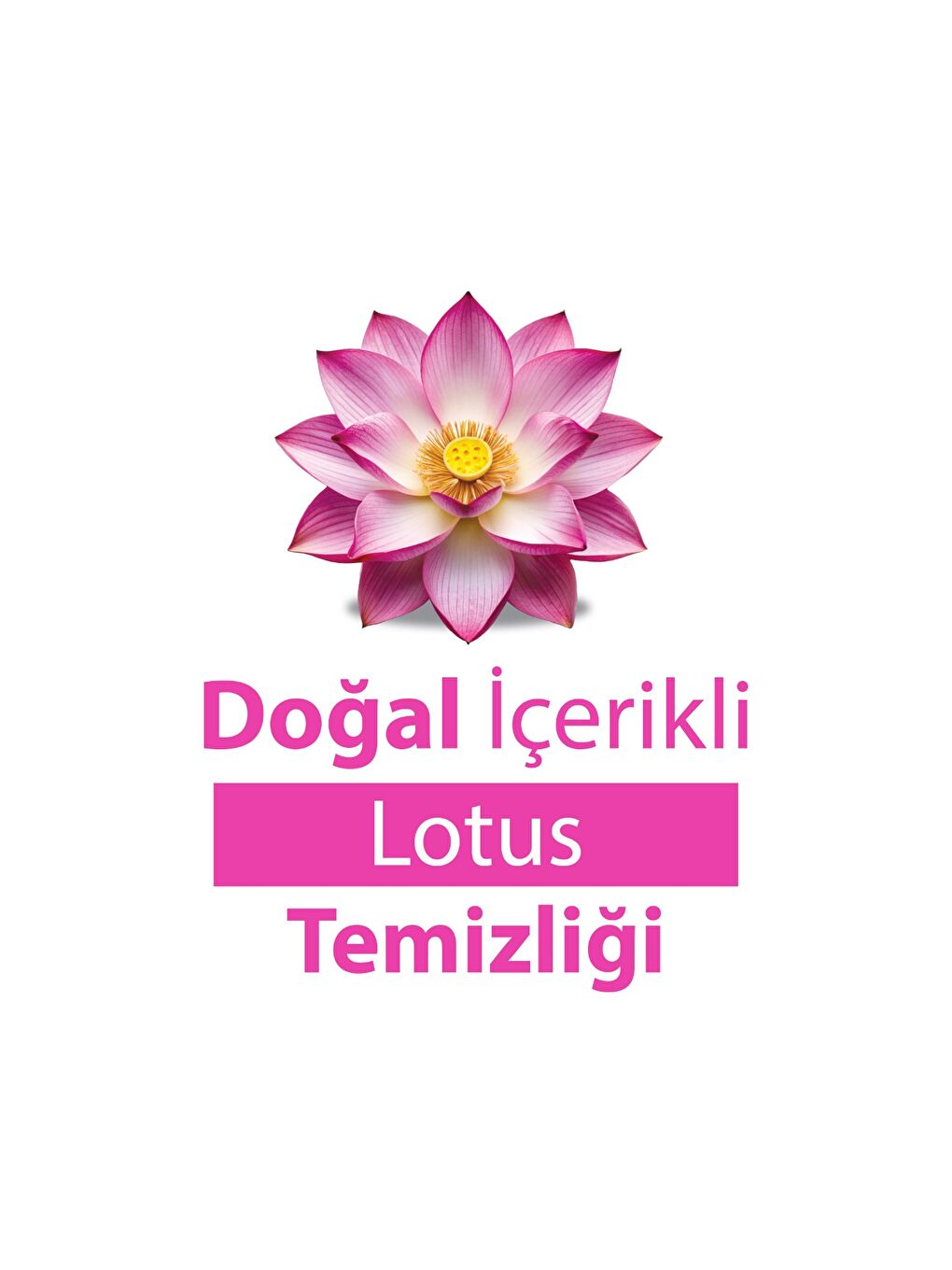 Turco Doğadan Pratik Yüzey Temizlik Havlusu Lotus 2x100 (200 Yaprak)-2