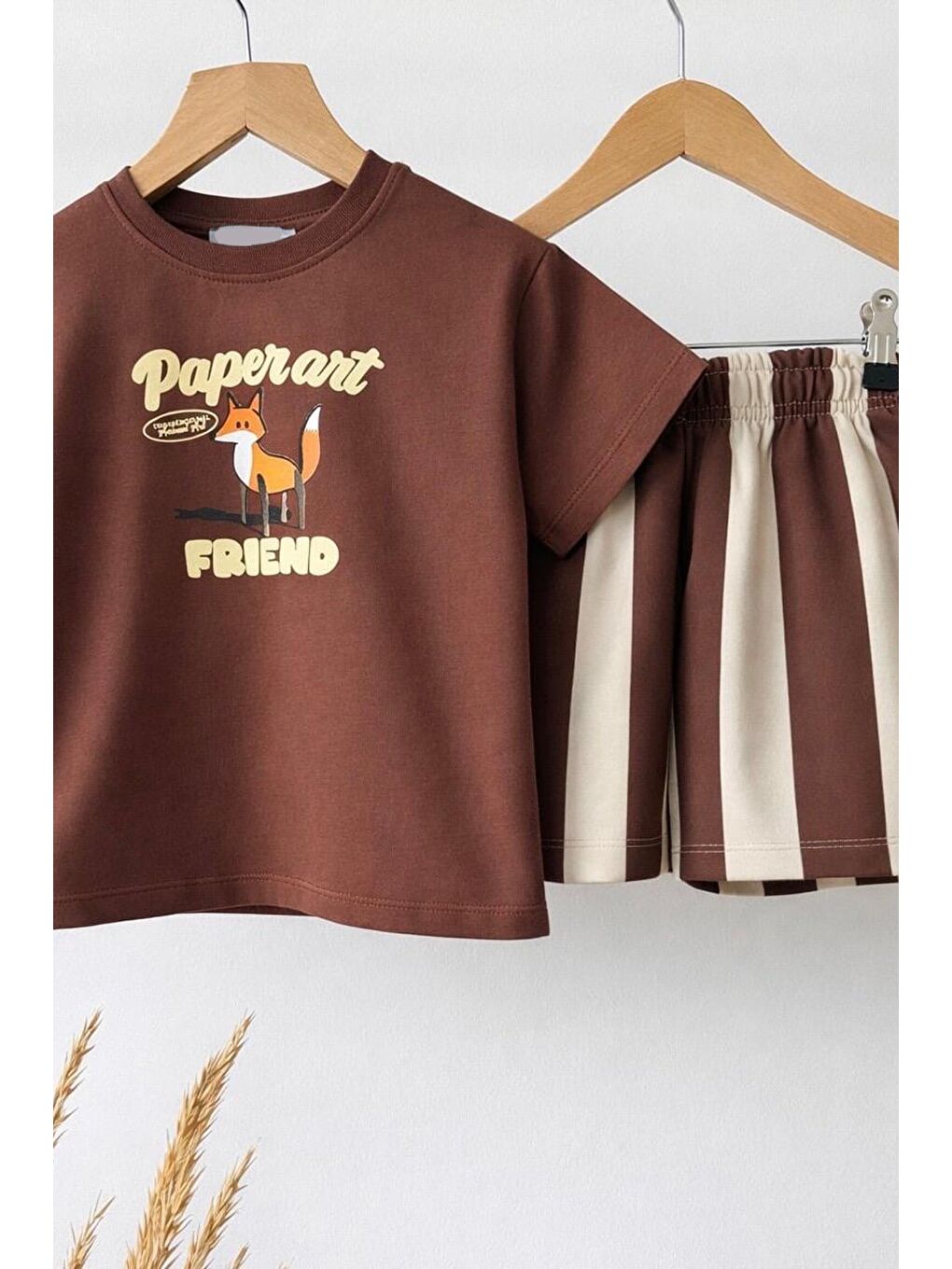 Erkek Çocuk Kahverengi Tilki Baskılı T-Shirt Ve Çizgili Şort Alt Üst Takım-3