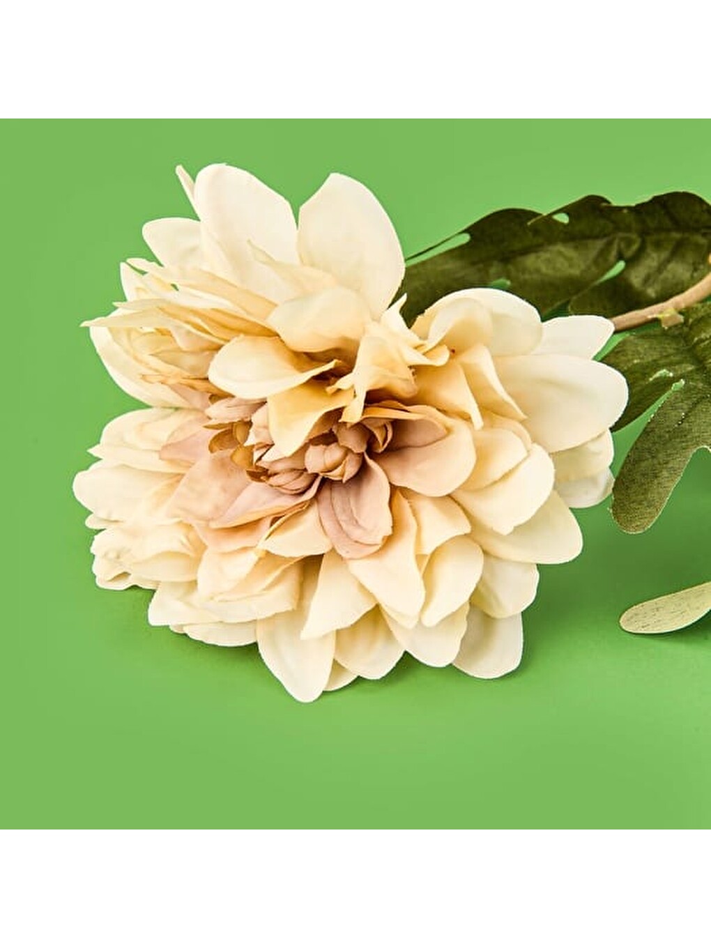 Deco Yıldız Dal Çiçek - Bej - 38 cm-1