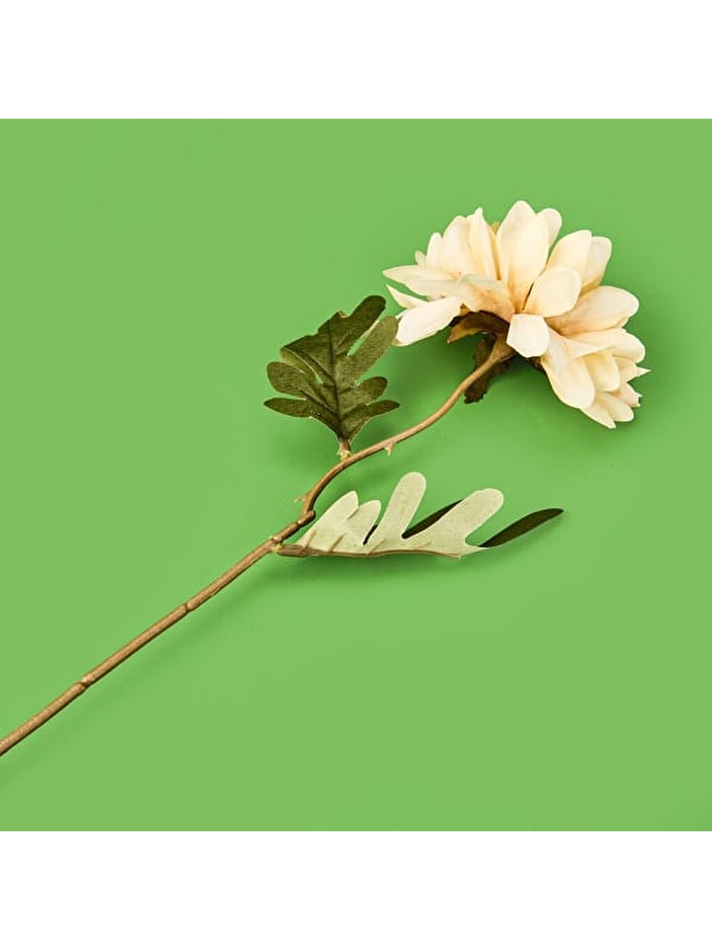 Deco Yıldız Dal Çiçek - Bej - 38 cm-2