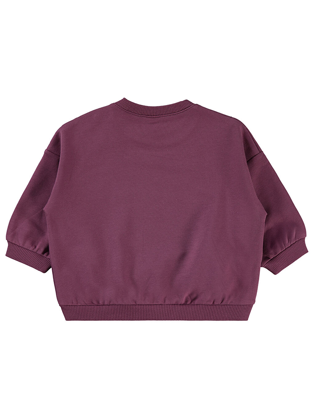 Pembe Baby Kız Bebek Sweatshirt 6-18 Ay Koyu Gül Kurusu-1