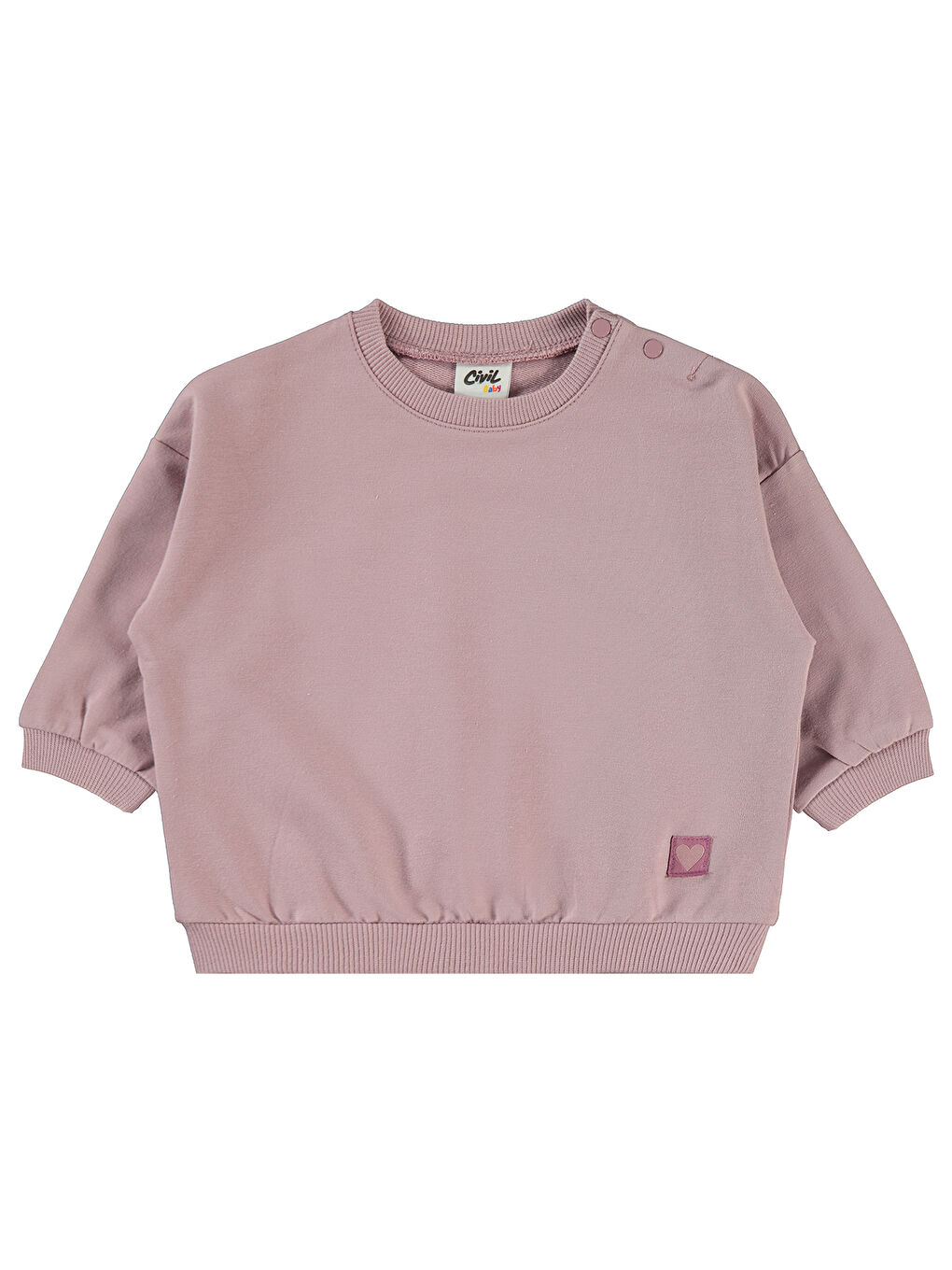 Pembe Baby Kız Bebek Sweatshirt 6-18 Ay Soft Gül Kurusu