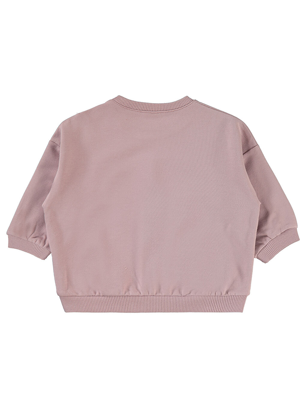 Pembe Baby Kız Bebek Sweatshirt 6-18 Ay Soft Gül Kurusu-1
