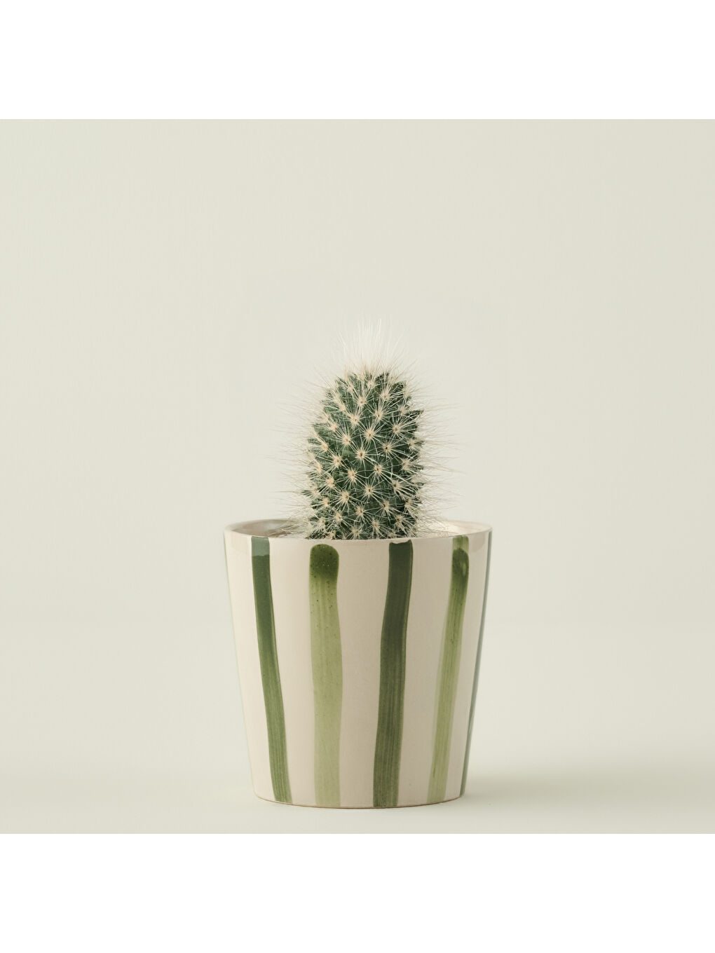 Tiloa Seramik Saksı 2'li Yeşil-1