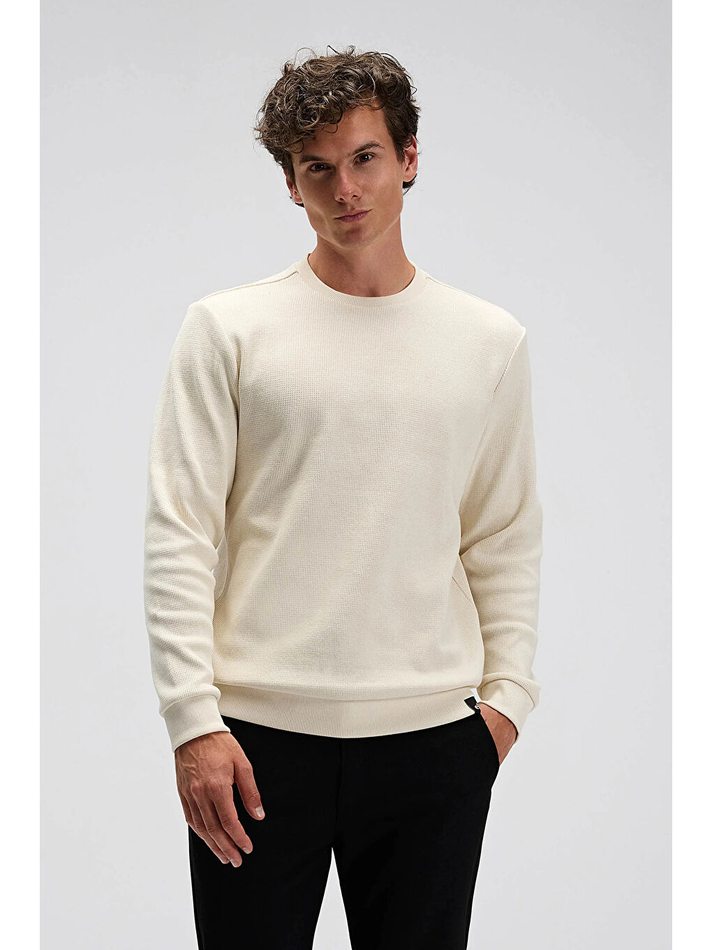 Bej % 100 Pamuk Regular Fit Bisiklet Yaka Kazak EM615-BG