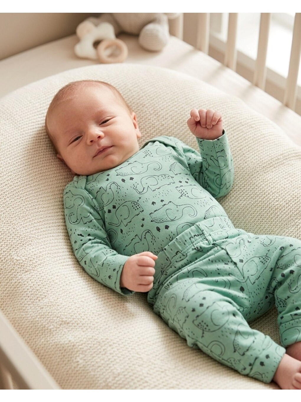 Yeşil %100 Pamuk 0-3-6-9-12 Aylık Fil Baskılı Çıtçıtlı Bodyli Pantalonlu 2'li Fitilli İnce Takım-1