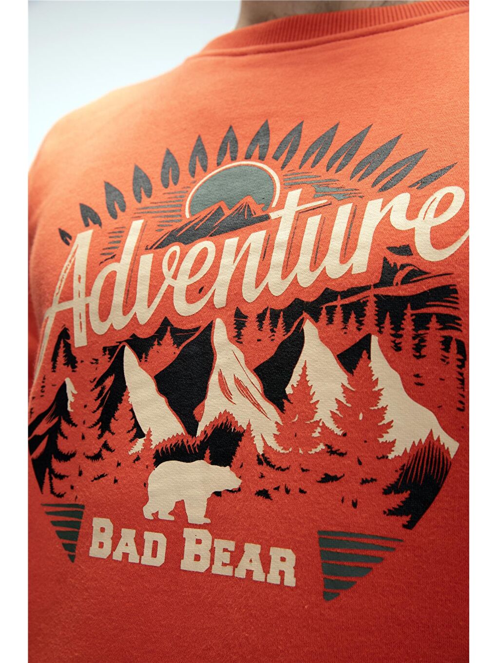 Kahverengi Adventure Tarçın Crewneck Erkek Baskılı Sweatshirt-4