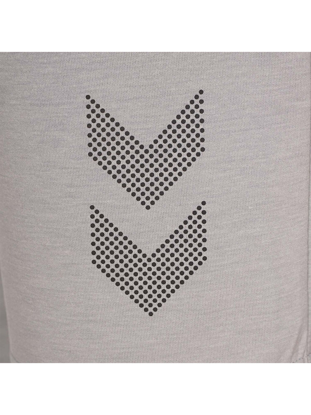 Evon Erkek Gri Şort-3