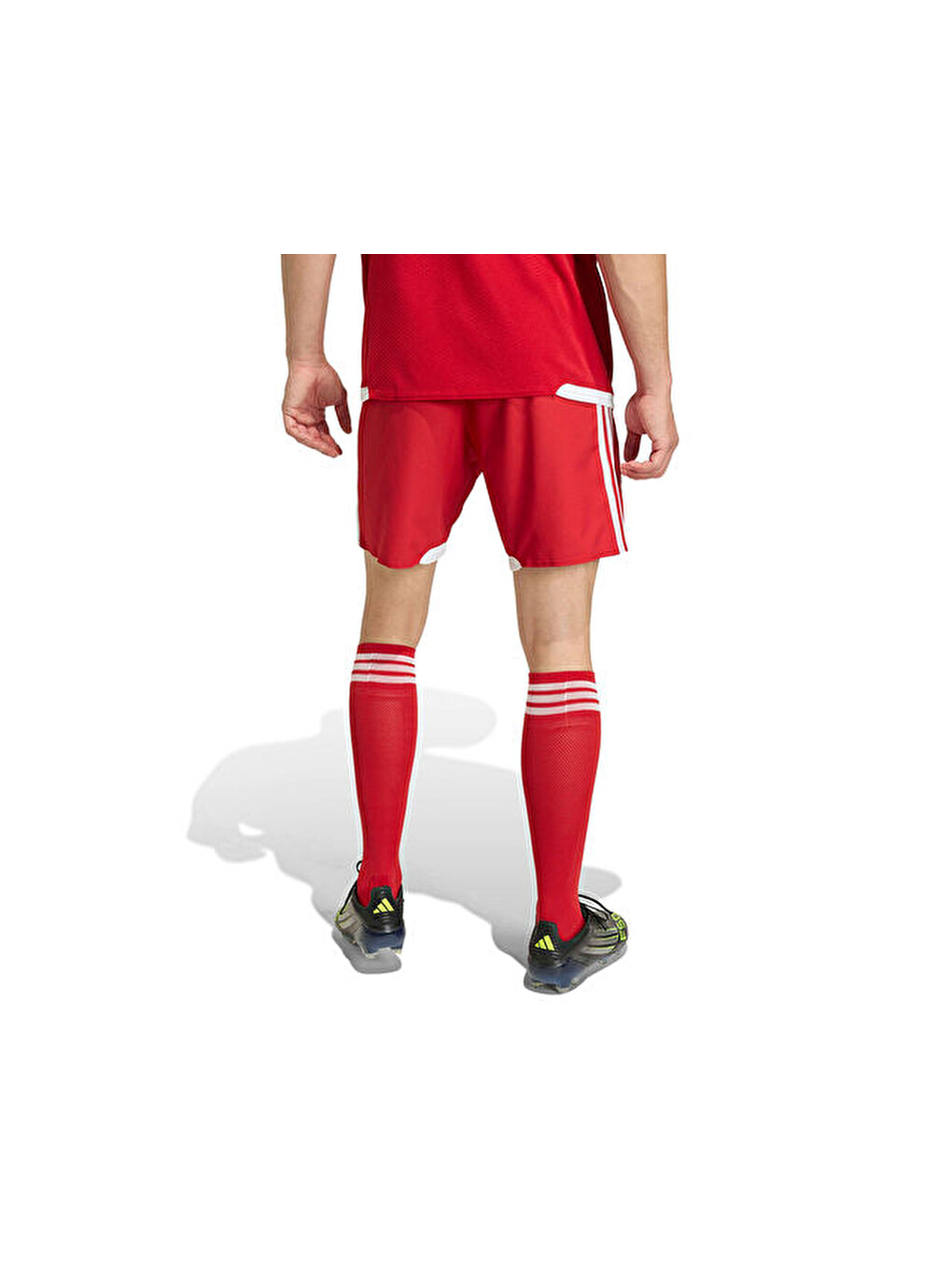 Tiro26 Competition M Sho Erkek Futbol Şortu Ka6179 Kırmızı-1
