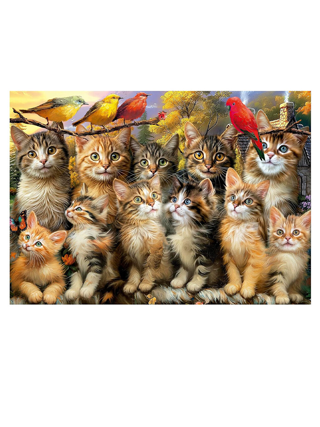 Puzzle 500 Parça Yavru Kedi ve Kuş 20241-1