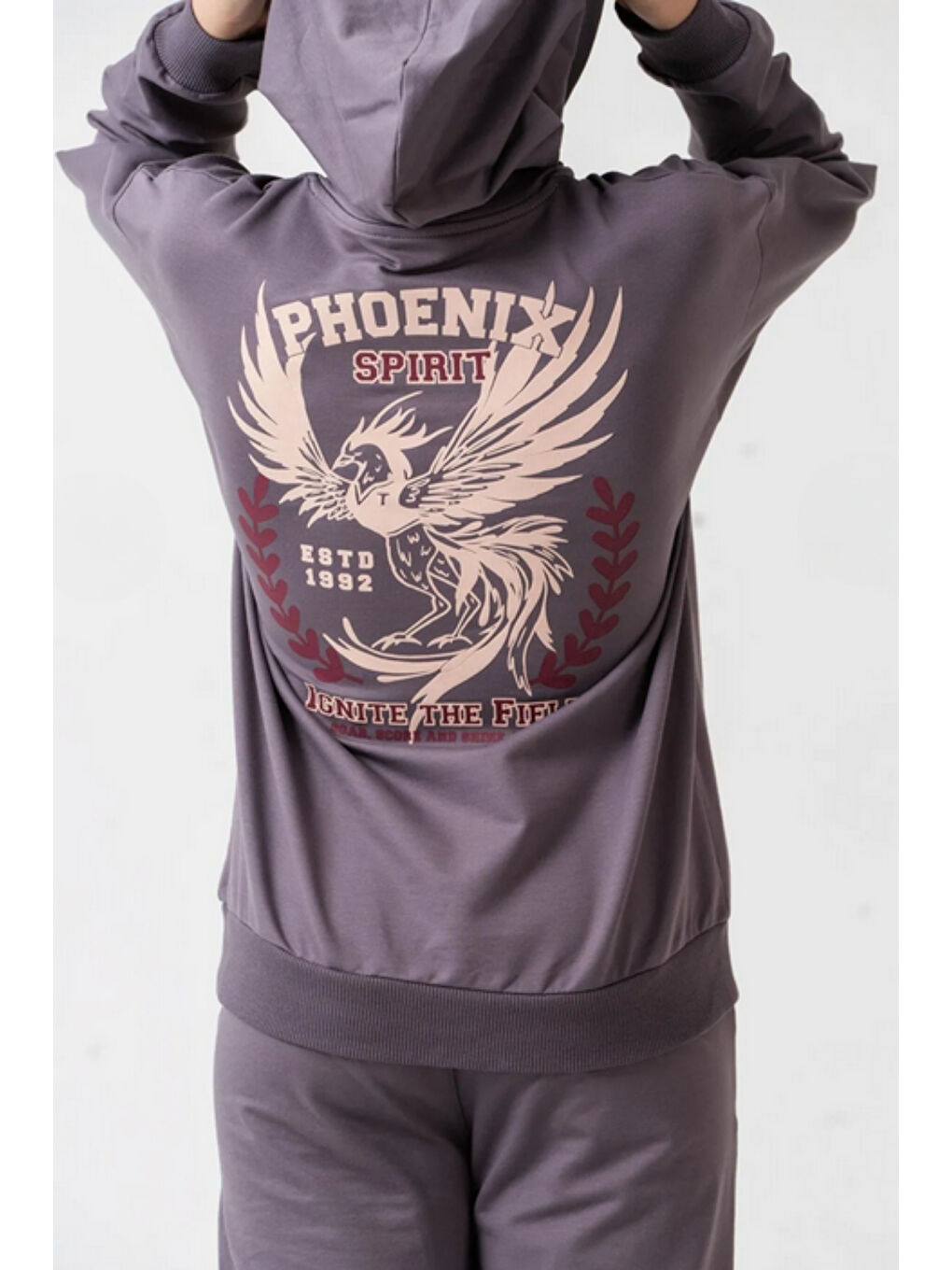 Gri Erkek Çocuk Phoenix Sprit Baskılı Alt Üst Eşofman Takımı Ak7870-3