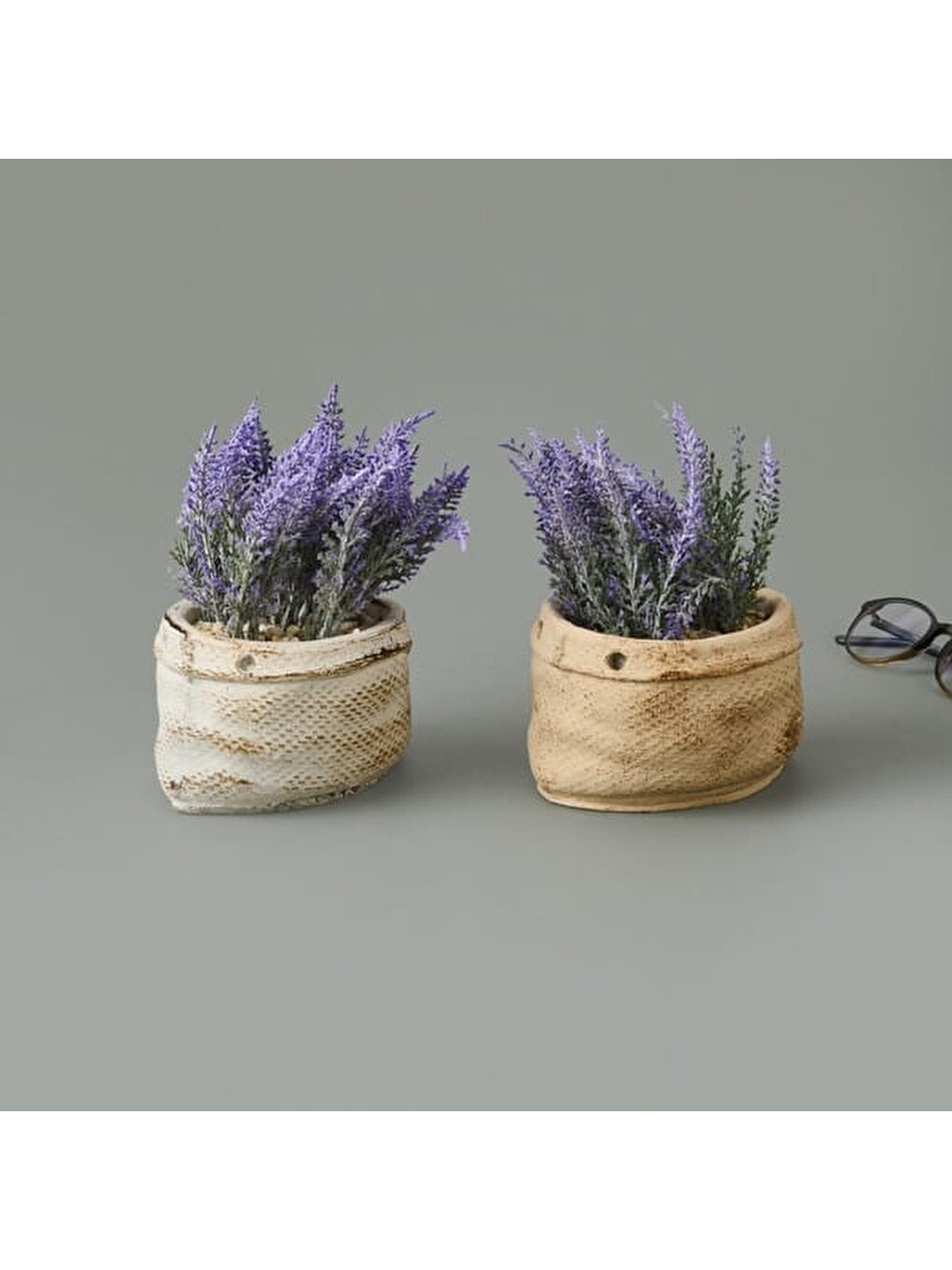Karışık Çuval Saksıda Kır Lavantası - Asorti - 13x9x9 cm-1