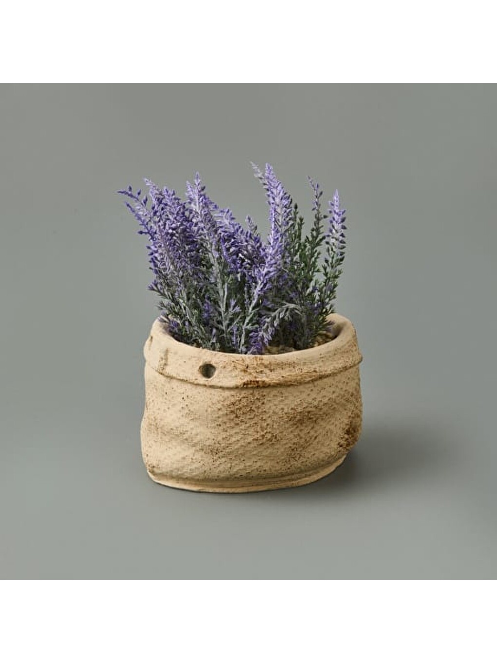 Karışık Çuval Saksıda Kır Lavantası - Asorti - 13x9x9 cm-2