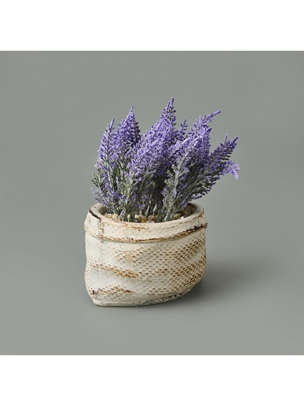 Karışık Çuval Saksıda Kır Lavantası - Asorti - 13x9x9 cm-3