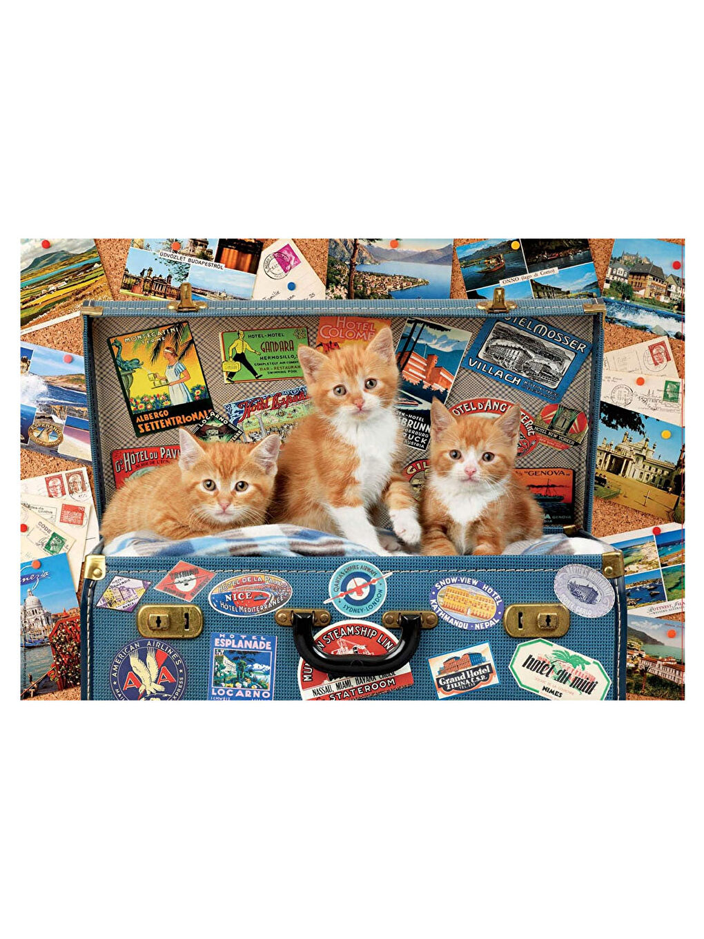 Puzzle 200 Parça Gezici Yavru Kedi 18065-1