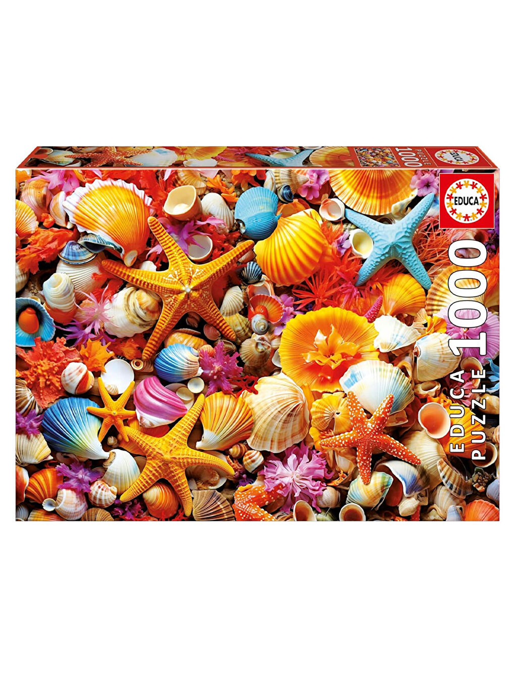 Puzzle 1000 Parça Deniz Kabuğu Kolajı 20246