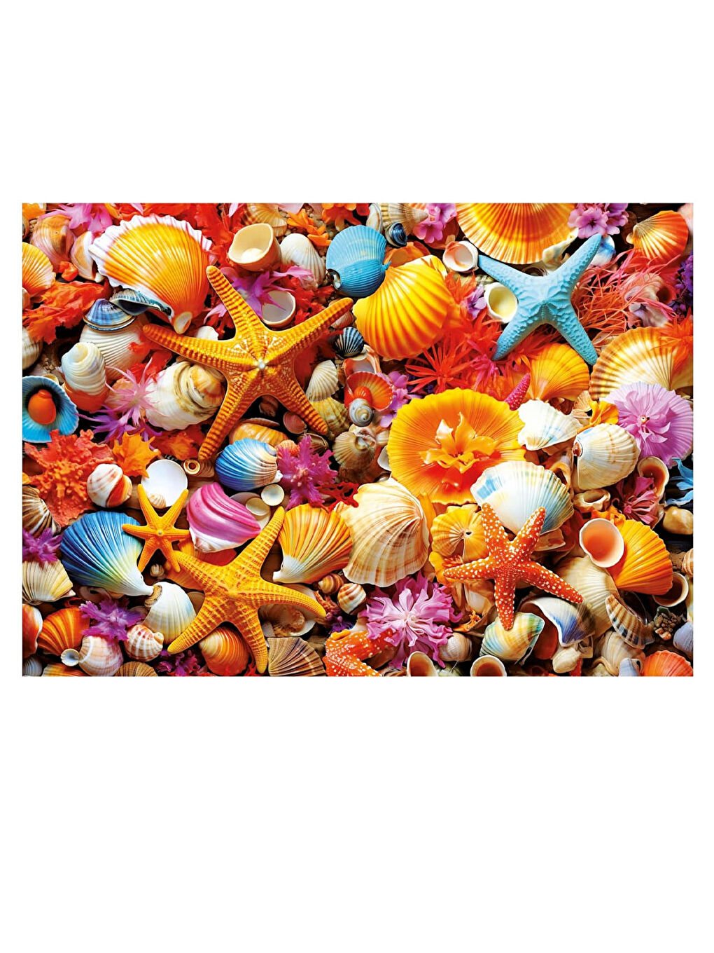 Puzzle 1000 Parça Deniz Kabuğu Kolajı 20246-1