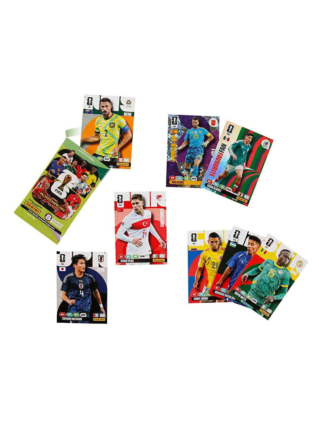 World Cup 2026 Kart Paketi-2