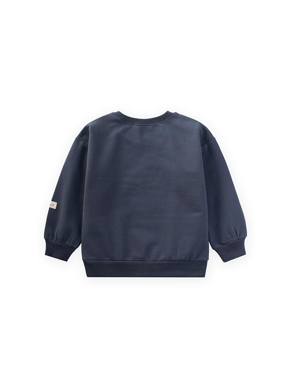 At Aplikeli Sweatshirt 1-6 Yaş Lacivert-1