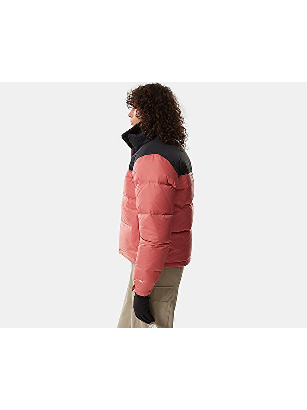 W 1996 Rtro Npts Jkt Kadın Outdoor Montu Nf0a3xeoubg1 Pembe-4