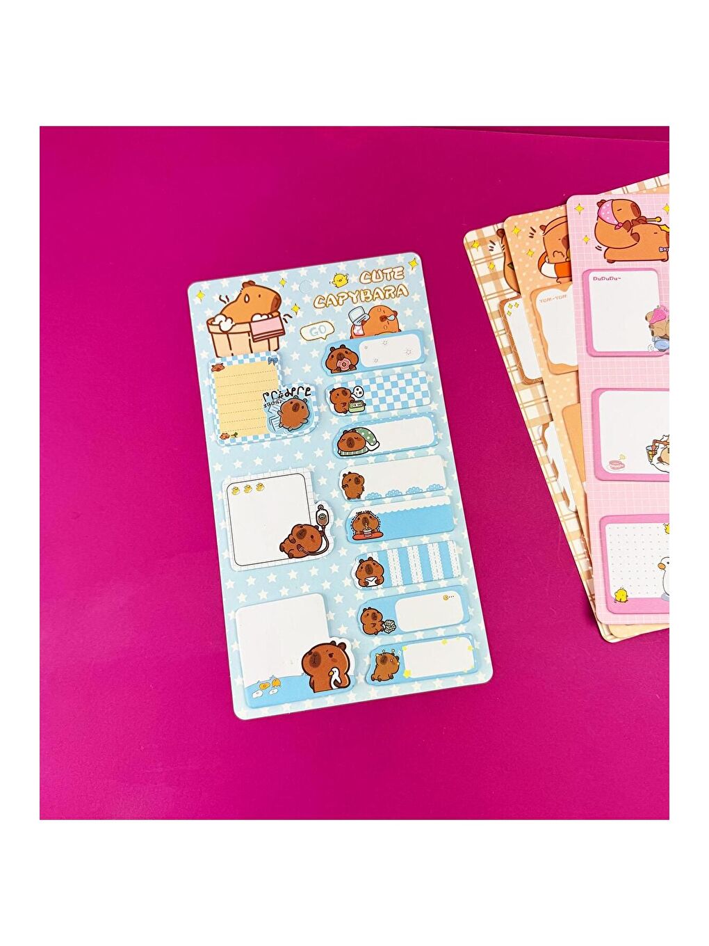 BAM HEDİYELİK EŞYA Capybara Tasarımlı Post it Seti - 1