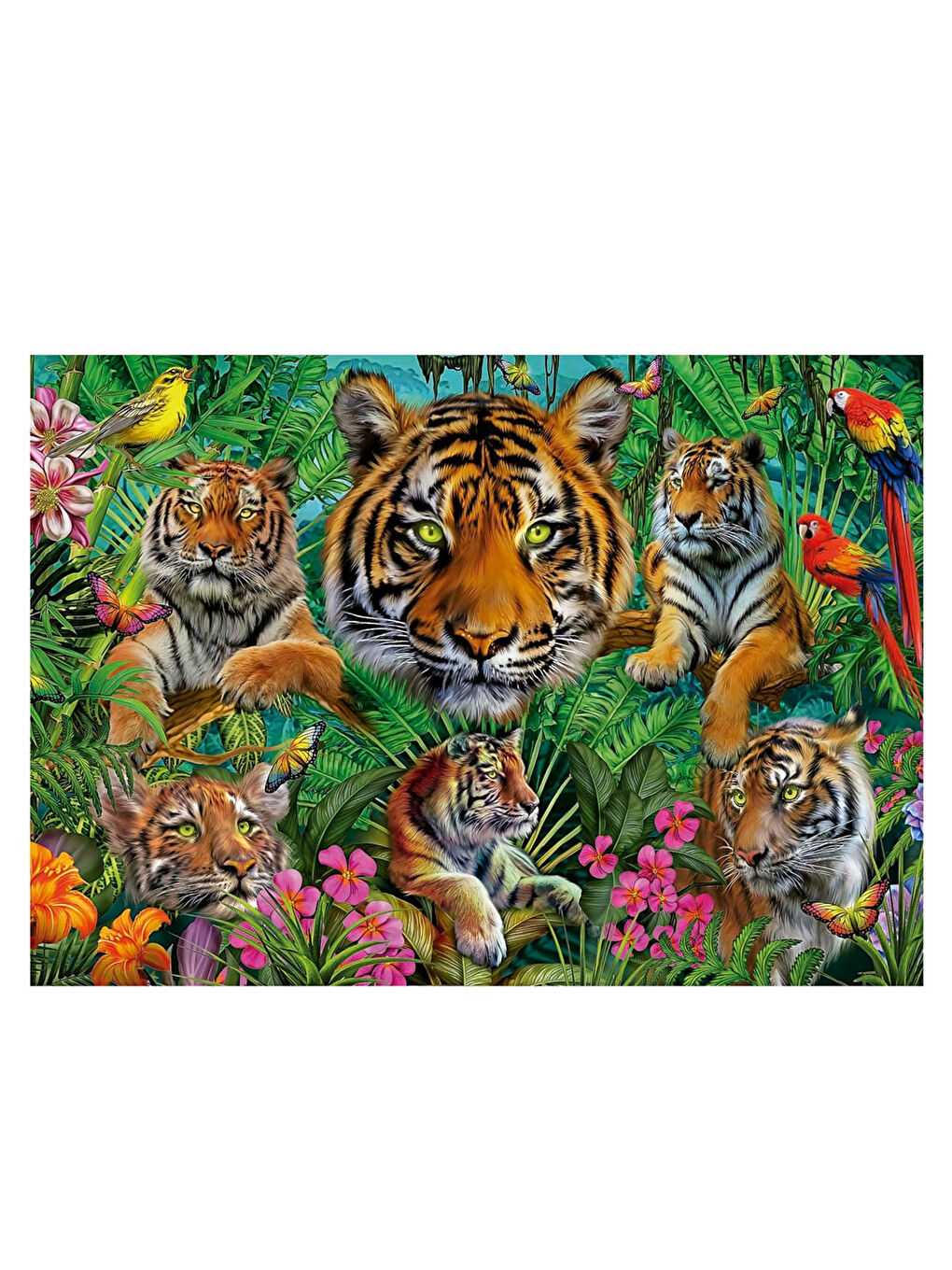 Puzzle 500 Parça Orman Kaplanı 19902-1