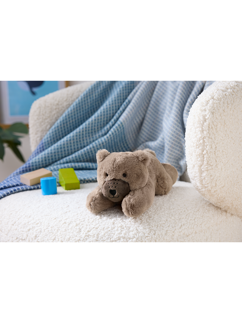 Pelüş Oyuncak, Ayı-1