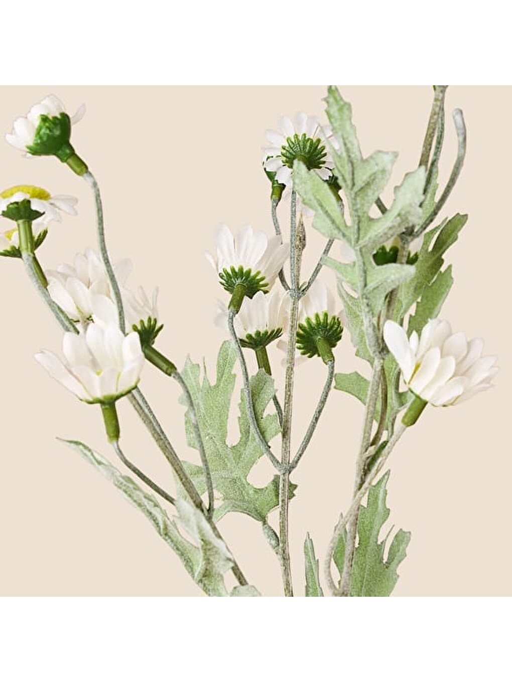 Deco Yıldızpatı Yapay Dal Çiçek - Beyaz - 62 cm-1