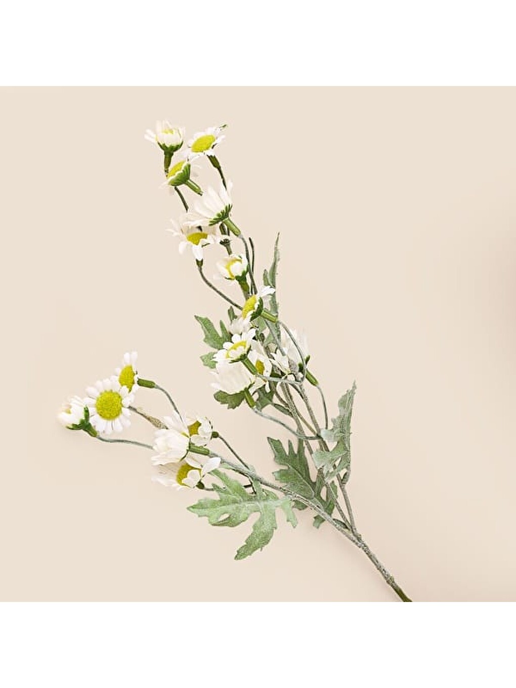Deco Yıldızpatı Yapay Dal Çiçek - Beyaz - 62 cm-2