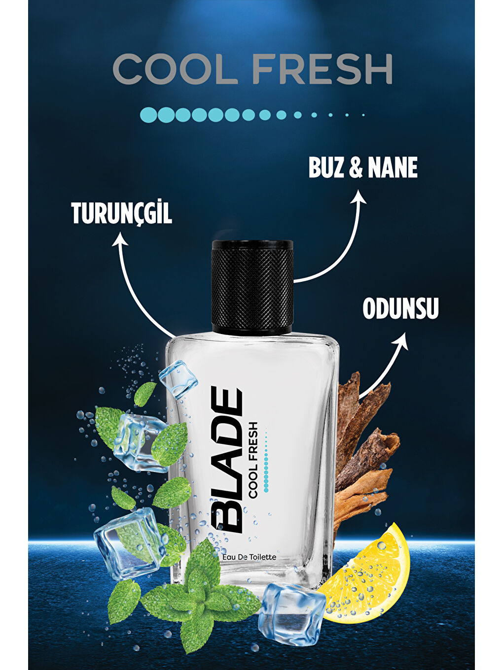 Blade Cool Fresh Erkek Parfüm EDT 70 ml - 2